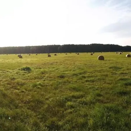 Sommerscheune Mit Viel Natur Apartment Liebatz