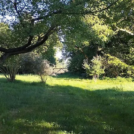 Apartamento Sommerscheune Mit Viel Natur Liebatz
