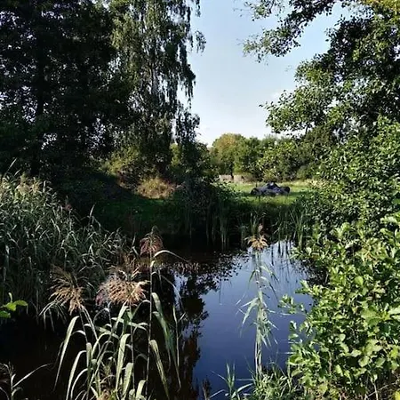 Apartment Sommerscheune Mit Viel Natur